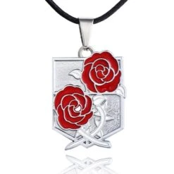 Collier Garnison - District SNK